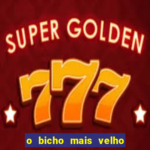 o bicho mais velho da loteria dos sonhos